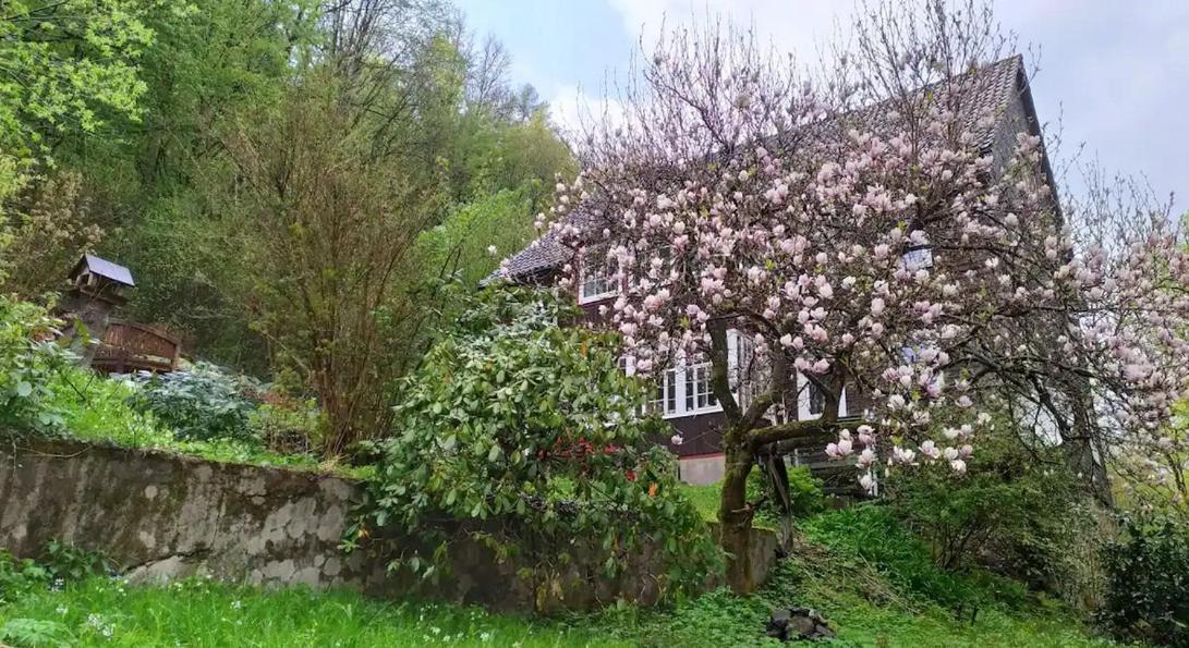 Haus Am Wald Zorge 16+ Gaeste Walkenried Exterior photo