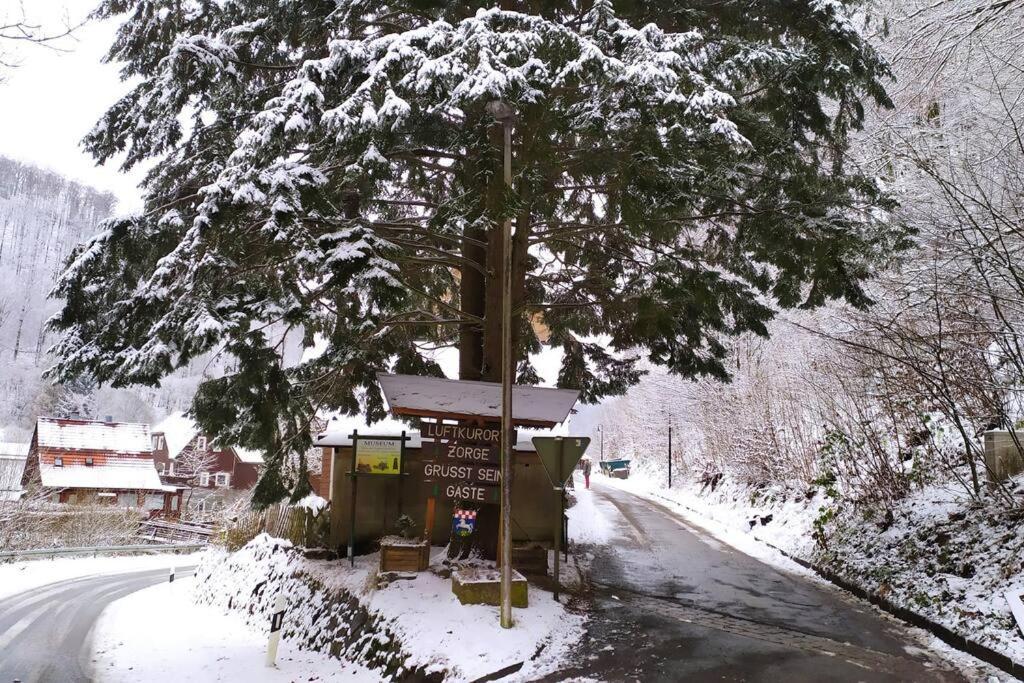 Haus Am Wald Zorge 16+ Gaeste Walkenried Exterior photo