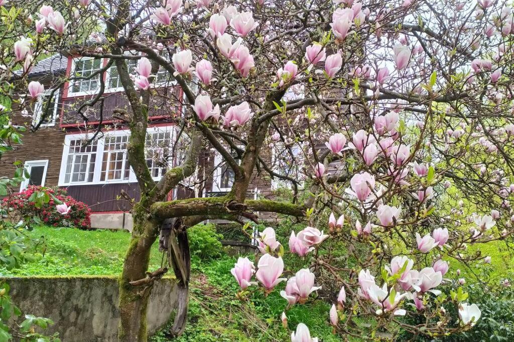 Haus Am Wald Zorge 16+ Gaeste Walkenried Exterior photo