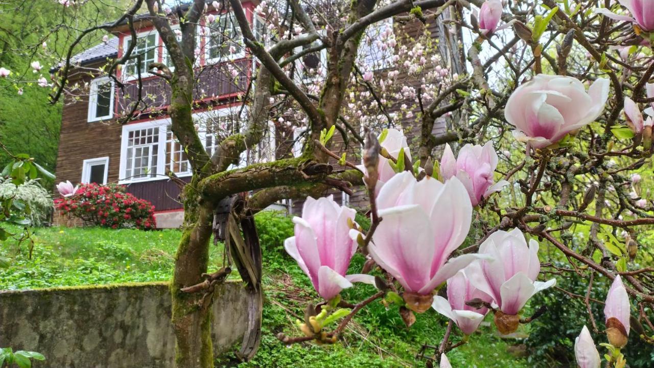 Haus Am Wald Zorge 16+ Gaeste Walkenried Exterior photo